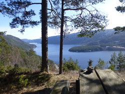 Valskarsnuten