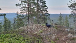 Delesåsen