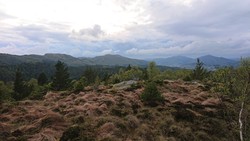 Svelihovden