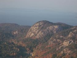 Høgebjørg