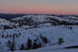 Skardstøylnetten