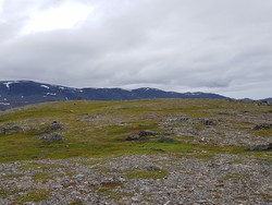 Storklubben