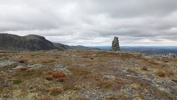 Lauvdalsnøse