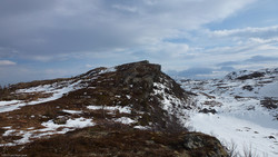 Langura