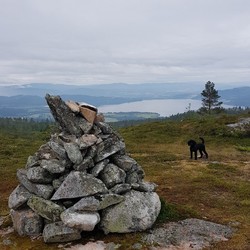 Aksnesvola