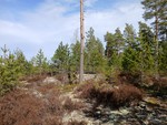Rånåsen Sør