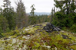 Roensæterhøgda