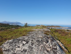 Stongvarden
