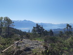 Geitaknottane