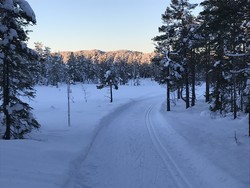 Lautåsen
