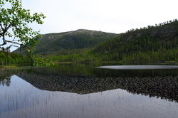 Reinfjellet