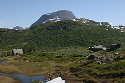 Vassfjøra