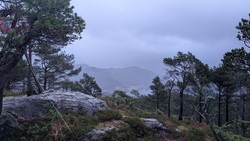 Hesthovden trigpunkt