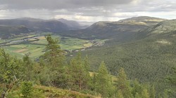 Baugsberget utsikt
