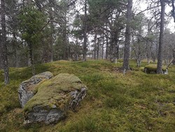 Ljøskarhaugen