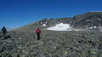 Dovrefjell-Sunndalsfjella nasjonalpark