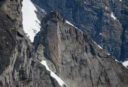 Hovsnebba Ø5