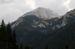 Vihren
