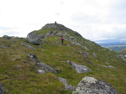 Guspiggen