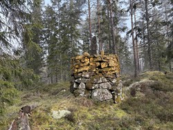 Riksrøys 32