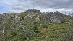 Steinburonuten