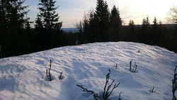 Kaloåsen