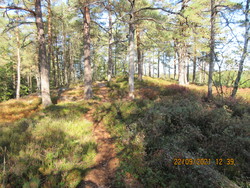 Bjønnåsen Vestby