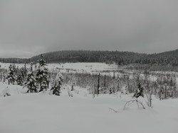 Løvåsen