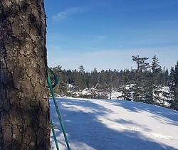 Raudfjell