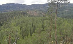Høgeberget