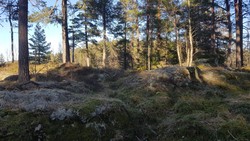 Båhusåsen