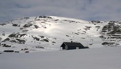 Buvassnosi