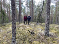 Kjerkelihøgda