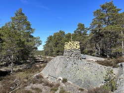 Riksrøys C