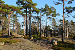 Ørnefjell