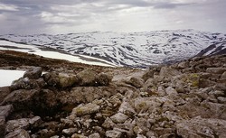 Buføreskaret Bogastelle