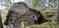 Tikneppenhula