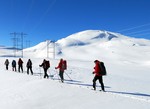 Nesnuten