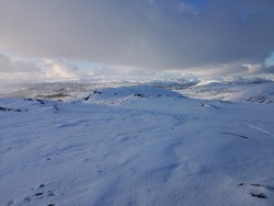 Svarthumpen