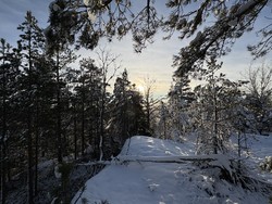 Tråvassåsen