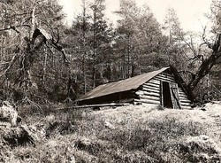 Ulvaskoghytta