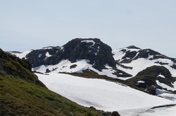 Skardhillernuten