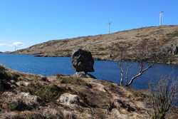 Kjeringjo