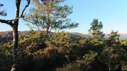 Sigerfjellet