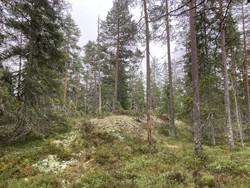 Larsbråtahøgda