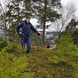 Raukammen