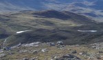 Gipehovde
