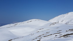 Jolgrøeggene