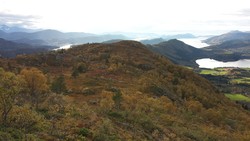 Høghaugen