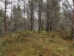 Jarstadåsen
